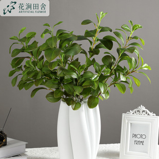 �����~��֦�����~ �Ř��~ ����ʽ�b��������c�廨������l