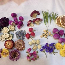 �ɹ��ɻ�diy��޹ԭ������Ȼֲ���b�Ʒ�ֹ�����ins�L���k�b[��