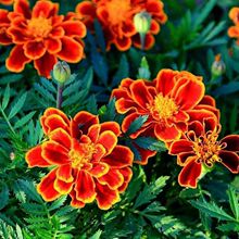 ��ȸ�ݷN���ͺ��ﲥ����ֲ���̨���Ծ��^�@�ֻ������ݻ��N�ӻ���