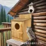 园林悬挂式木质猫头喂食器