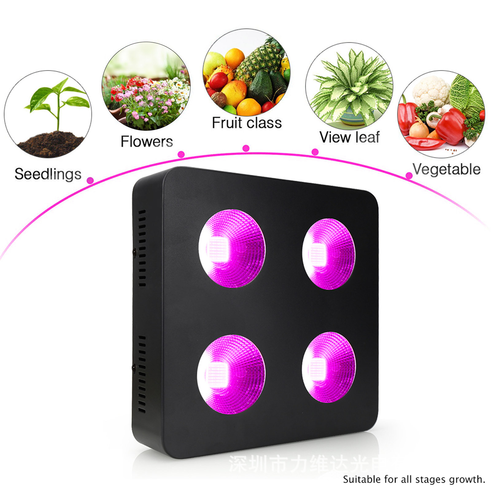 1000W COB VEG BLOOMȫ׺ɫҴ߲˲