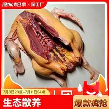 散养黄皮鸭土鸭麻鸭新鲜现杀鸭肉水鸭老鸭冷冻全鸭整鸭带鸭子批发