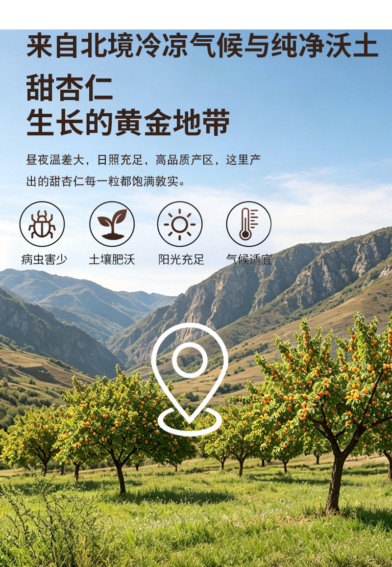 Sweet Apricot Kernels Nan Xing Ren 500g Roasted Peeled Baking Ingredient preparation
