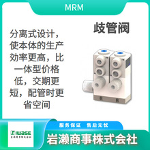 MRM 氟树脂针阀 MPAV2-15F-SB-0-3B 气控回吸阀 PFA安全阀