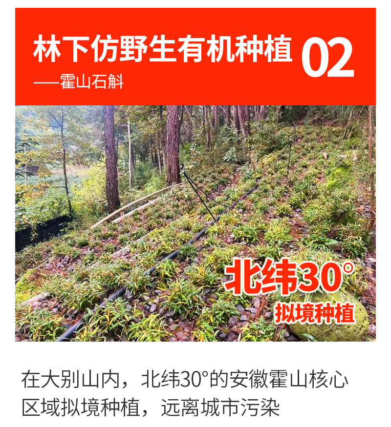 Freeze-Dried Huoshan Shi Hu (Dendrobium huoshanense) — Premium TCM Yin-Nourishing Herb, 64g Gift Box key features