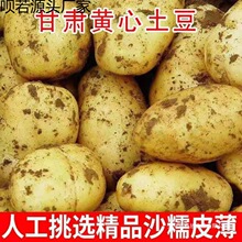 �������l���C�����خa���r�����r���ԷN�S������������]�C������