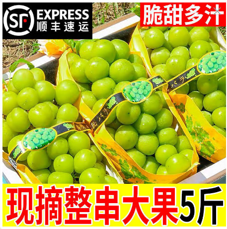 Sunshine rose grape Qin Wang fresh seasonal fruit