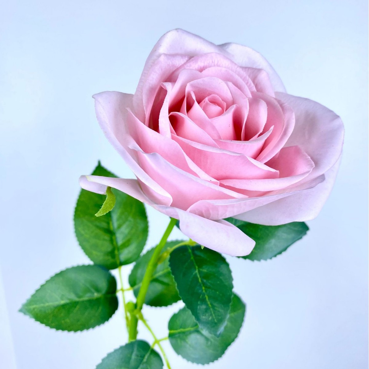 Moisturizing touch Monica simulated rose living room decoration…