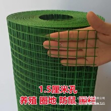 防锈型塑铁丝网围栏护栏隔离栏防护网养鸡拦鸡养殖网格铁网绿色