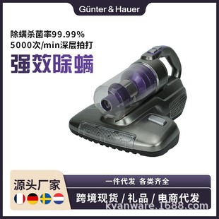 Hot-Selling Foreign Trade Cross-Border Bed Vacuum Cleaner Uv Handheld Mite Remover High-Efficiency Filtration Mite Removal Deep Sterilization