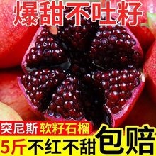 【软籽红石榴】四川会理突尼斯软籽石榴新鲜现摘应季水果超甜批发
