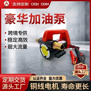 定制自动启停电动抽油泵 12V24V220V加油泵 小型自吸泵 柴油泵