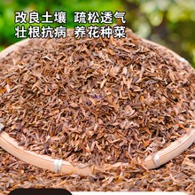 �����l�͸��쵾�Ț��N�˷N���@ˇ����ͨ���ЙC���ϸ�������̼