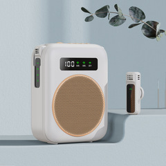 クロスボーダーのプライベートモデルの無線スピーカー教師専用の無線bluetoothマイクガイドが携帯電話を宣伝します。