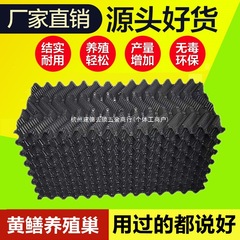 ウナギの巣、ウナギの巣、人工飼育槽、ワニ、プラスチックタイル、ナマズ、ウナギ、ウナギの繁殖洞窟巣