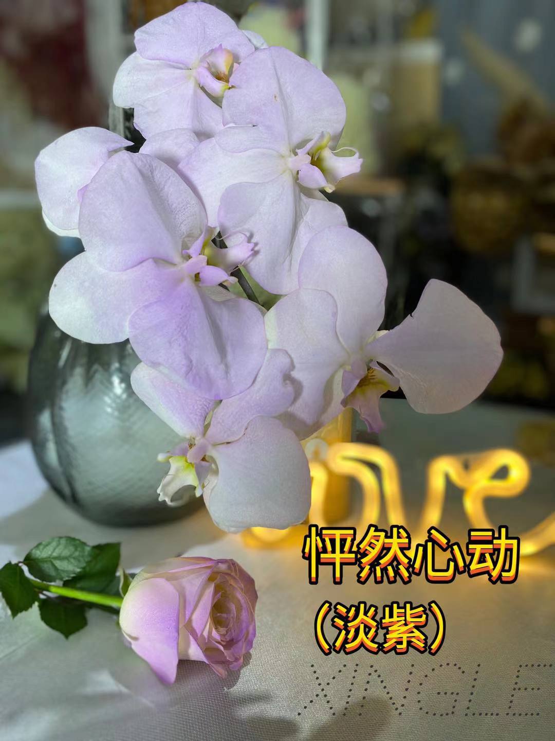 라벤더 라일락(450ml) 라지병 (스근두근)