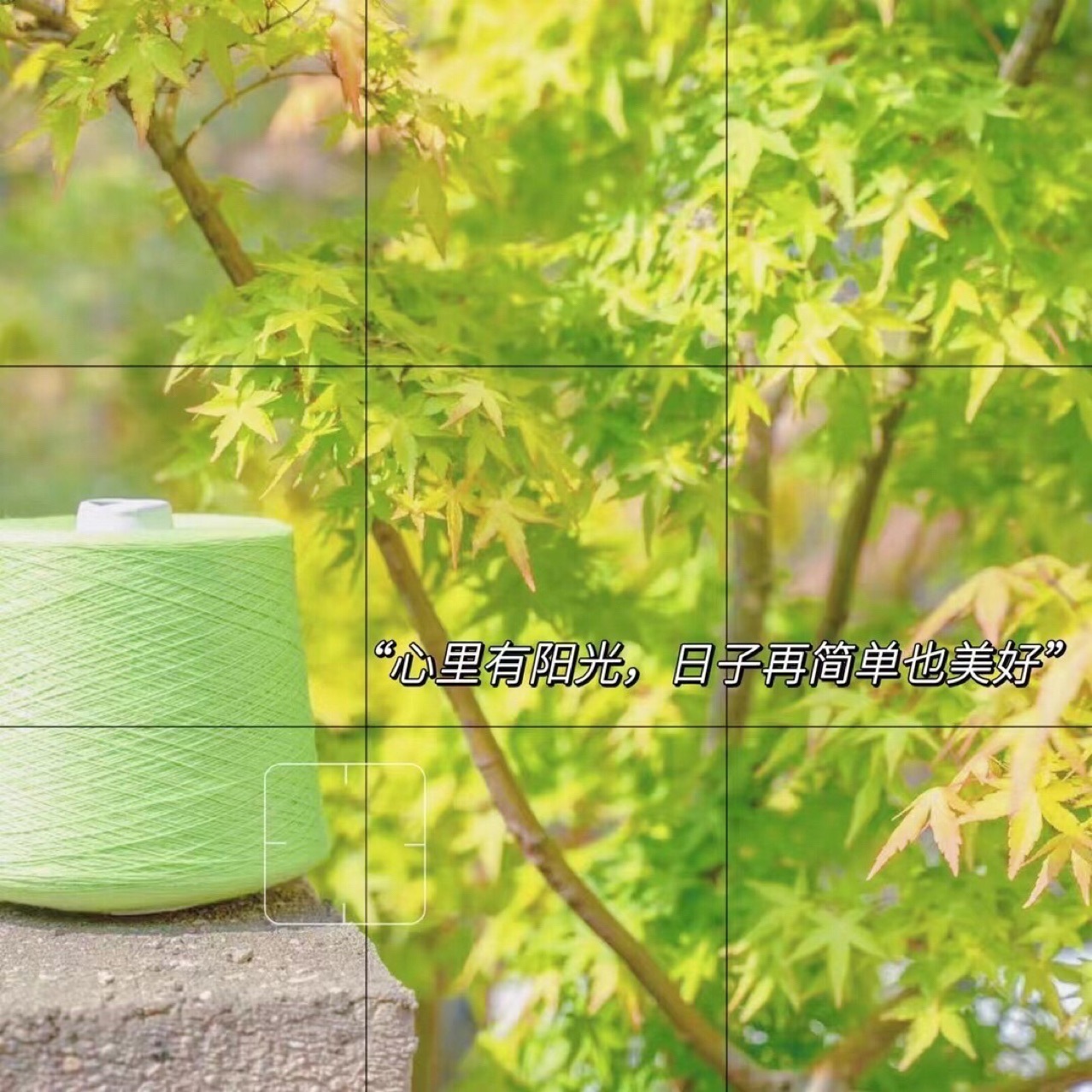 金溢32nm/2 美丽奴羊毛纱 澳洲羊毛 纱线 全毛纱 纯羊毛纱线