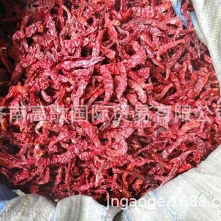 �S�����l�涼��pepper������������ �gӭ����ӆُ