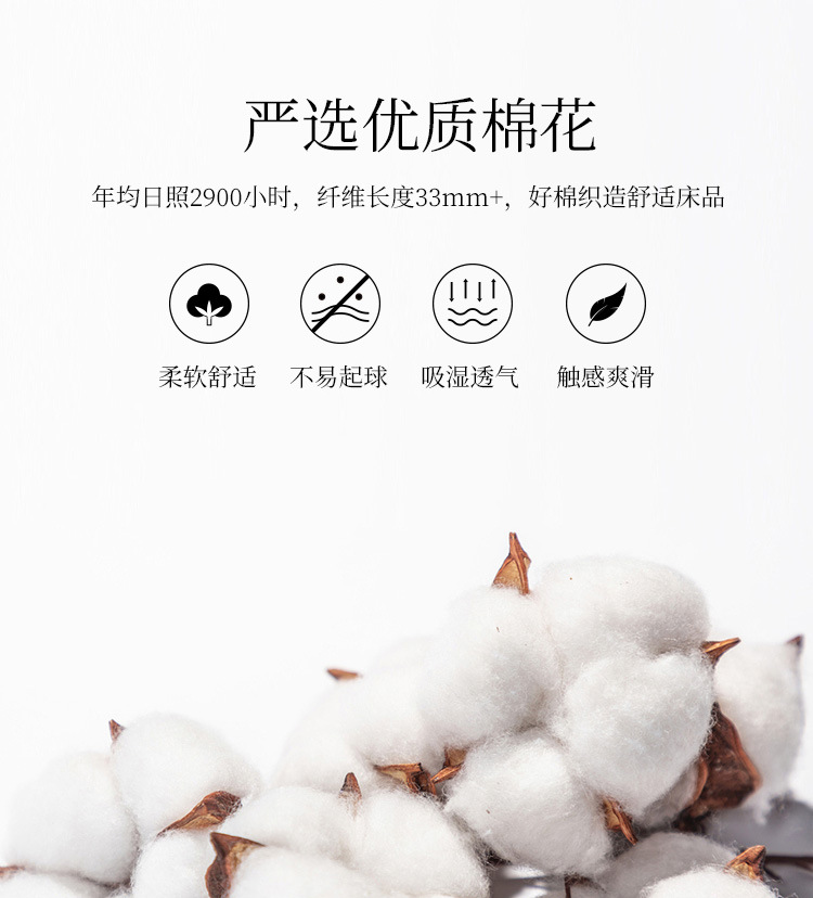 焦糖橙_04.jpg