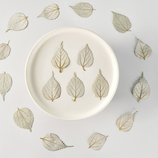 Jade hemp leaf real flower flower embossed children's teaching plant specimen material material drop glue dried flower mobile phone shell diy