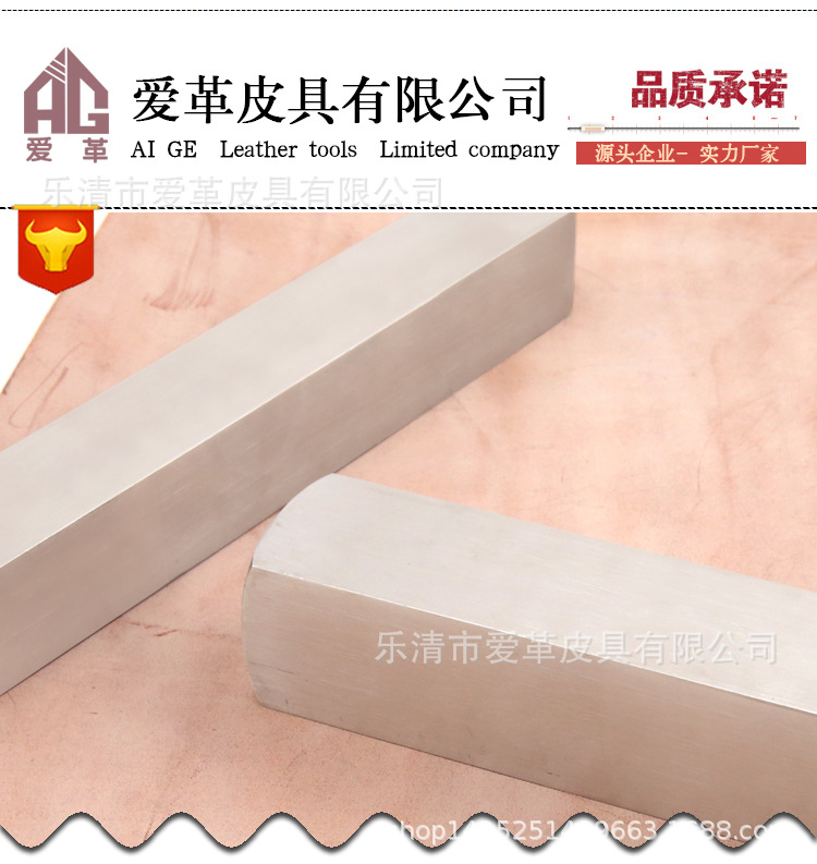 爱革-不锈钢皮镇2根_02.jpg