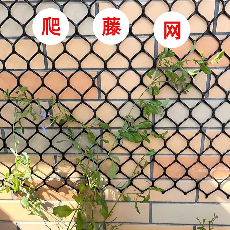 ll蔷薇爬藤网月季网花网格花架子球兰乌托邦花墙网格植物爬墙意赛-阿里巴巴