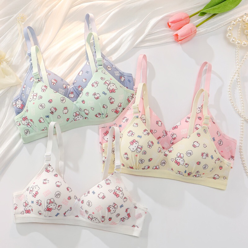 2025 Japanese-Style Bra for Young Girls, Small Chest Push-Up, Sweet Triangle Cup, Seamless High School Bra, Three-Stage Bra 2025 Japanese-Style Bra for Young Girls, Small Chest Push-Up, Sweet Triangle Cup, Seamless High School Bra, Three-Stage Bra