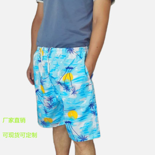 Beach Pants Men's Outerwear Men's Shorts Factory Loose Quick-Drying Street Stall Goods European and American Surfing Beach Cool Large Pants