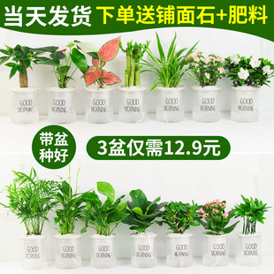�Gֲ���Ի����҃Ⱥ��B�lؔ���k��������d�ӻ��G�}ˮ��Сֲ�����