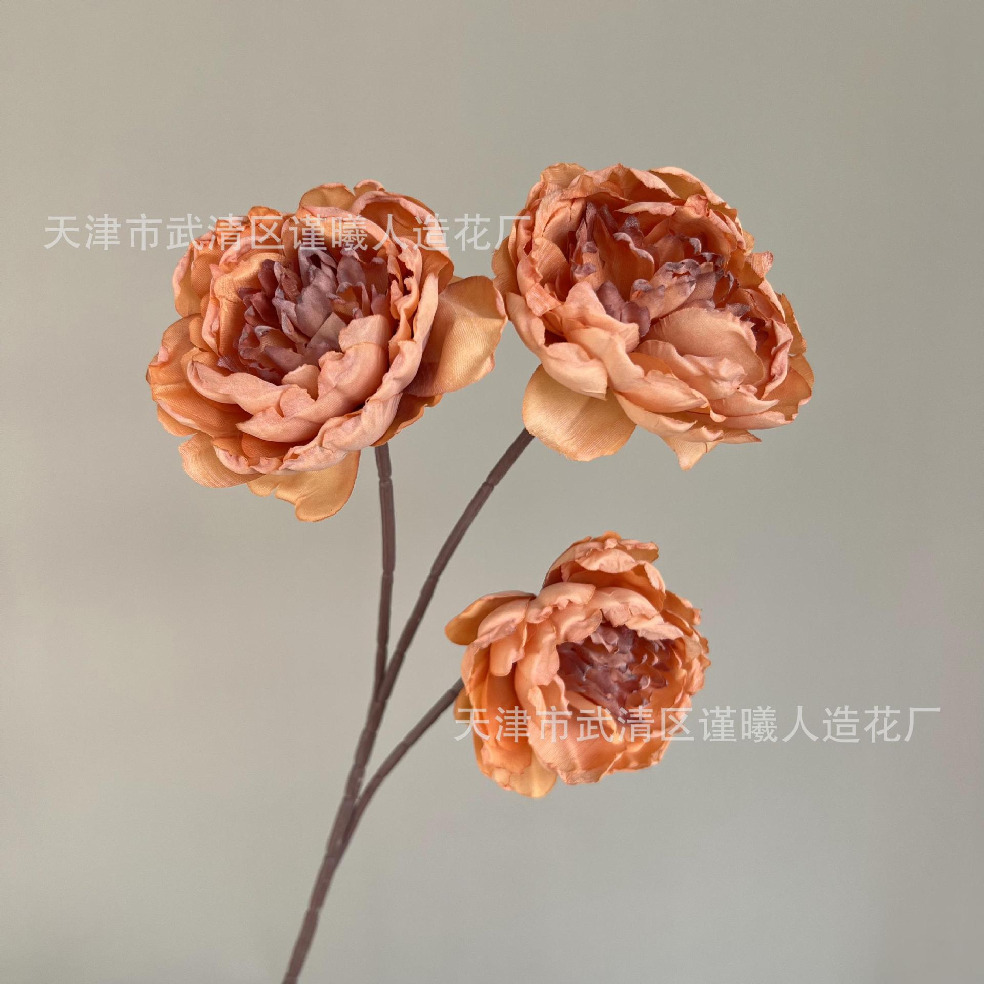 시든 모란
