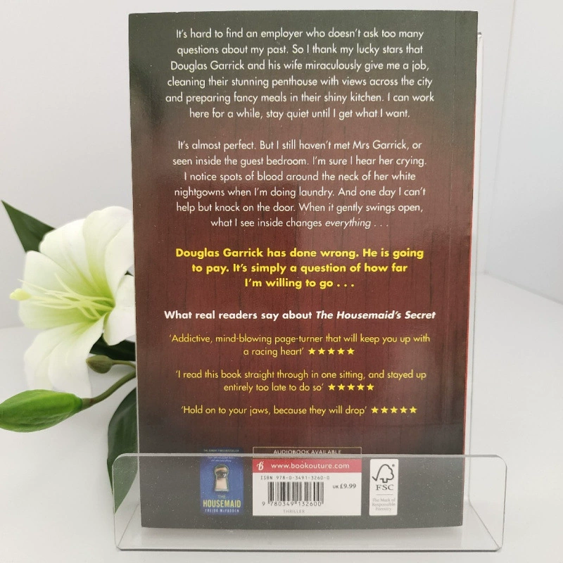 Хитовая книга «Тайна горничной» — секрет горничной