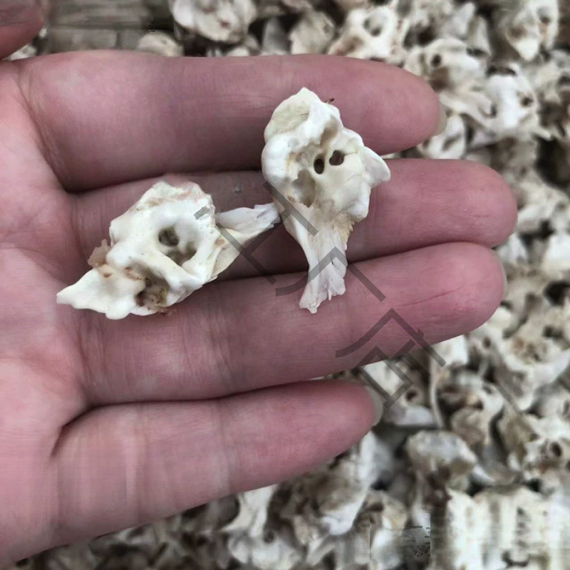 Натуральная свиная кость, свиная эссенция, кость для новорожденных, детей и взрослых, анти-страх, красный браслет из веревки, ювелирные изделия, мультяшный номер