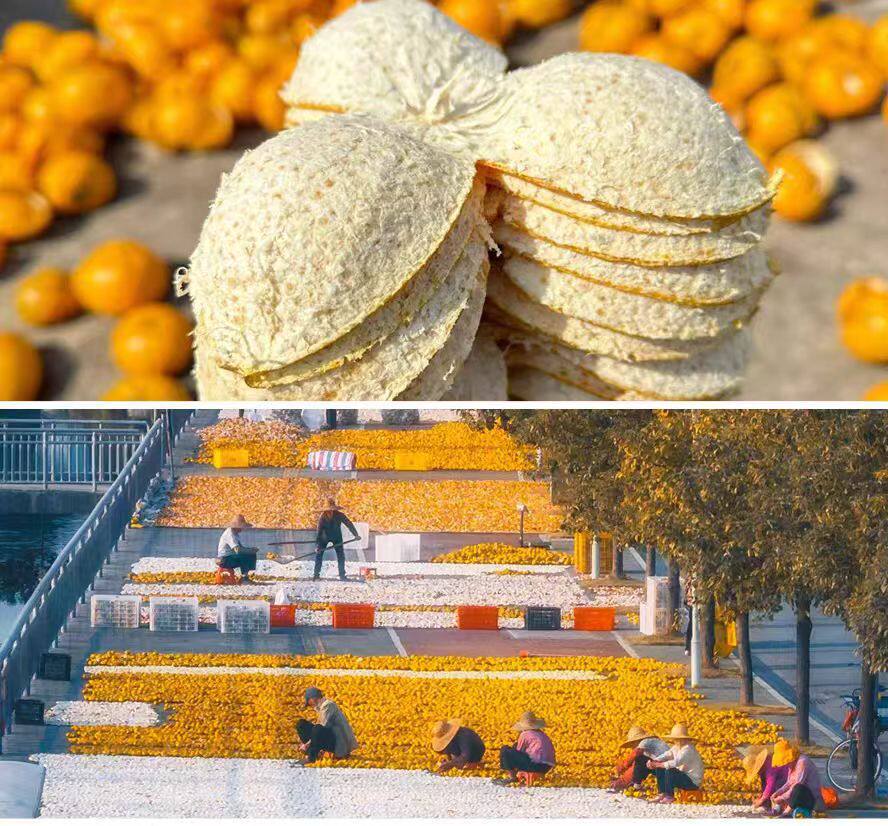Xinhui Da Hong Pi Dried Tangerine Peel 2025 Harvest Sun Dried Chenpi 500g for Tea and Cooking in use