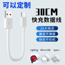 2A���~type-c�֙C��늾��m���O��lighting��usb30cm��ӿڼ���