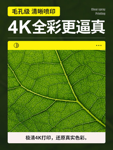 Kabu Soft Film Light Box Luminous Billboard Ceiling Wall-Mounted Led Sign Door Outdoor Stall