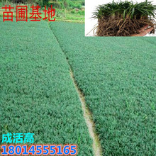 ���l�ձ�����������С�������ݽ�߅����ͥԺ�e���ϱ����ͺ����A��