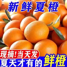 甜橙新鲜爆汁】新鲜夏橙应季水果手剥橙子孕妇一整箱批发非果冻橙