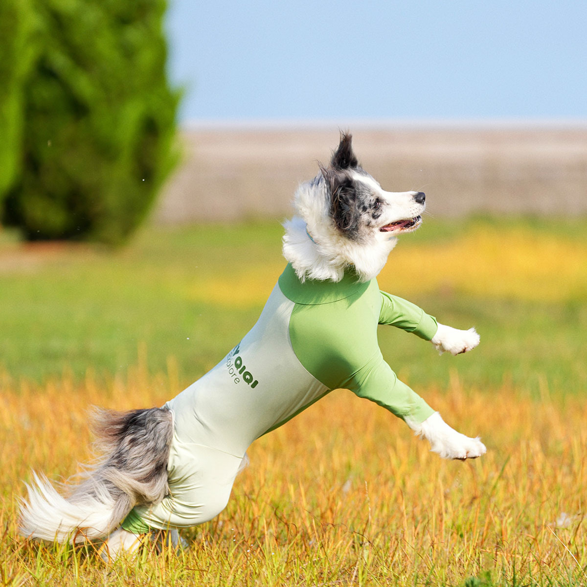 犬春夏アウトドア日焼け止め汚れ防止蚊取り虫小中型犬四脚衣接触涼感UPF50