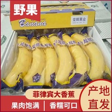 菲律賓當季進口獨立包裝超甜大香蕉美味可口方便攜帶一件代發