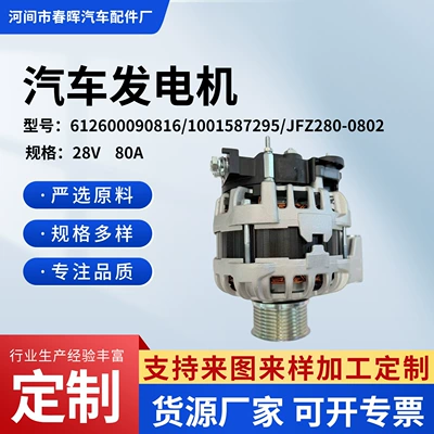 Customized Weichai WP10, Delong X3000 generator, Sinotruk generator assembly 612600090816