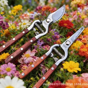 ˮ����ľ����֦����ˇ�@�ֹ����޼���֦�޻�����ʡ�����È@ˇ����