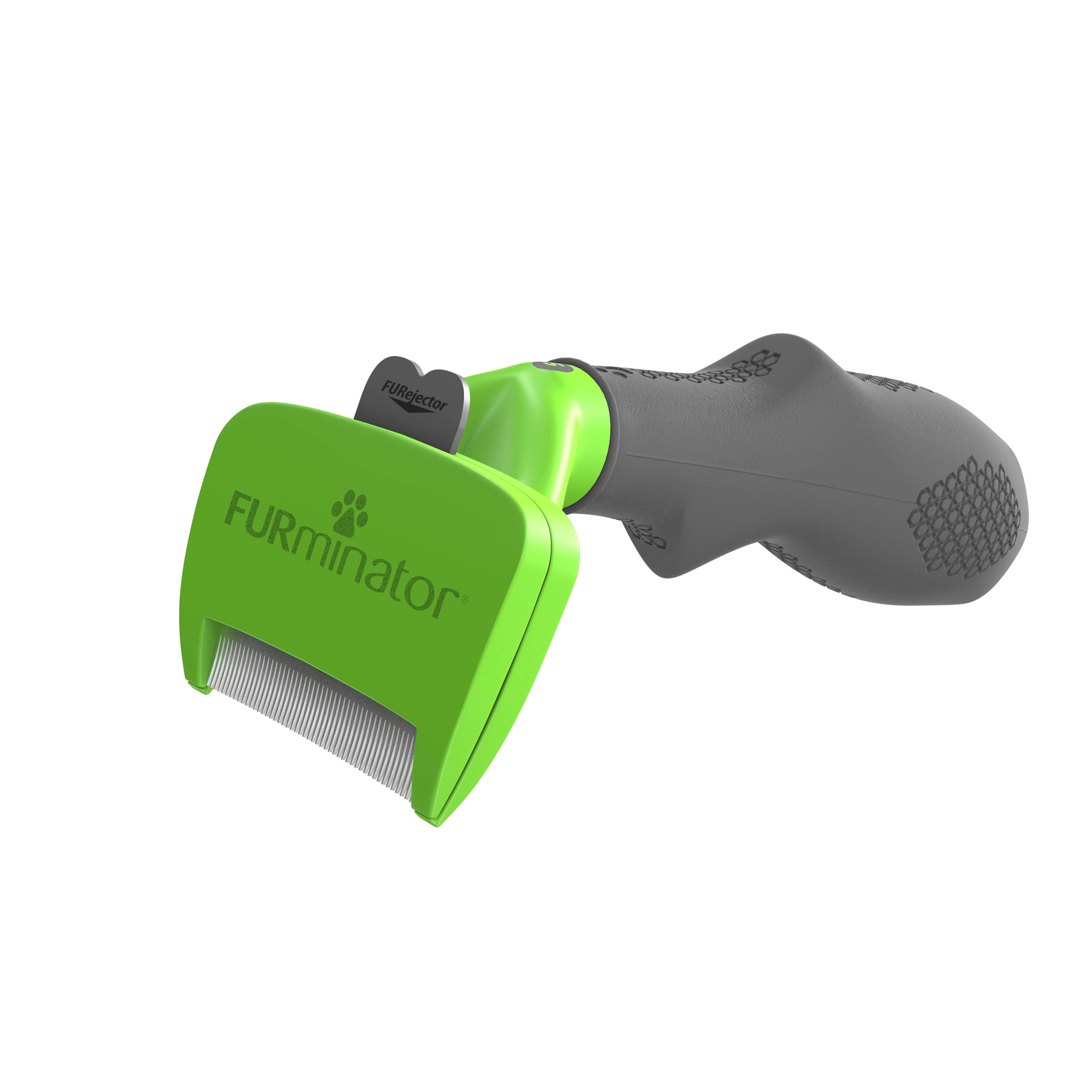 Perro pequeño de pelo largo con peine de pelo bajo