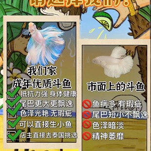 ̩�����~�W�t���t�ۼt�t����~���ô�����Ꭷ��ˮ�����~