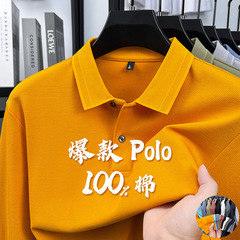 跨境珠地棉男士polo衫新款加厚长袖翻领t恤春季重磅商务休闲批发