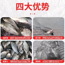 ����朽����~���~�a�~���~10ml����c�~�{�aҰឱ��o�{�Ե��a�~�D