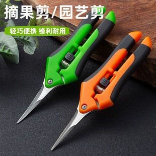 Stainless Steel Fruit Branch Shears Gardening Flower Arrangement Orchard Pruning Shears Multipurpose Gardening Scissors