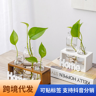 Ins Simple Small Fresh Glass Vase Hydroponic Plant Transparent Flower Arrangement Living Room Home Decoration Ornaments