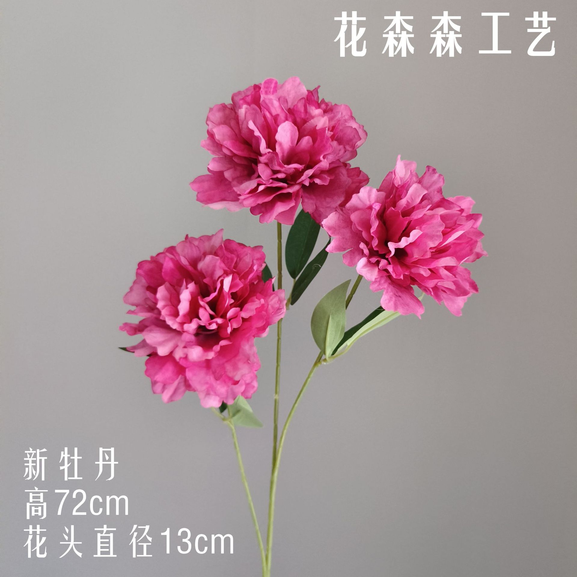 새로운 모란 145808