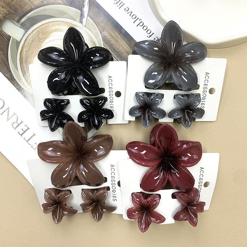 96g Weight Hair Claws Hair Accessories Type 1 Set Quantity Daily Occasion Plastic, Resin Material Plumeria Pattern All Seasons Season Women's Gender Stoving Varnish Design Cute Style Cute Women's Plumeria Plastic Resin Stoving Varnish Hair Claws 11