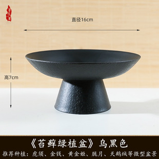 ̦�\��������o���~�X��ˮ����֬����ֲ�����ô�̖���_����